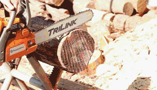 Brillant test d'exploitation foresti&egrave;re Sanlian